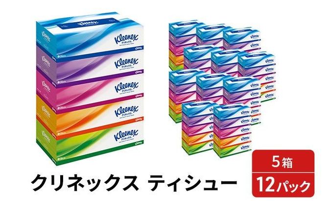 トイレットペーパー ダブル ティッシュ キッチンペーパー スコッティ クリネックス 60箱 48ロール 日用品 セット 