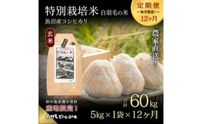 【通年受付】≪令和8年産≫【定期便／全12回】農家直送！魚沼産コシヒカリ特別栽培「白羽毛の米」玄米(5kg×1袋)×12回 60kg お米