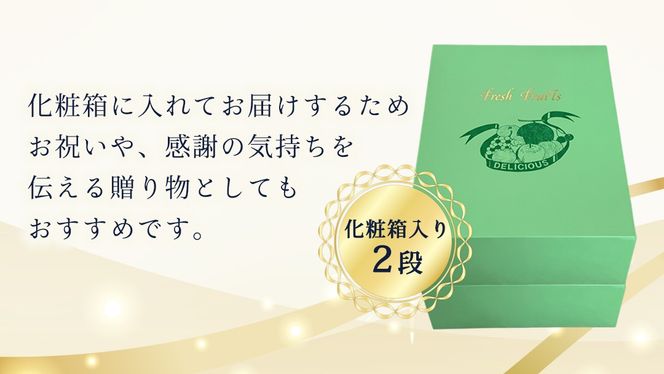 ＼お届け回数が選べる／ 【化粧箱入り2段】厳選フルーツ 10〜12種プレミアムセット 単品・定期便（茨城県共通返礼品） 田舎の頑固おやじが厳選！ 人気 厳選 果物 くだもの 旬 旬の果物 旬のフルーツ 上級品 極上 贅沢 極み フルーツ フルーツセット ギフト プレゼント 贈り物 冷蔵