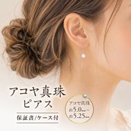 35-02アコヤ真珠ピアス