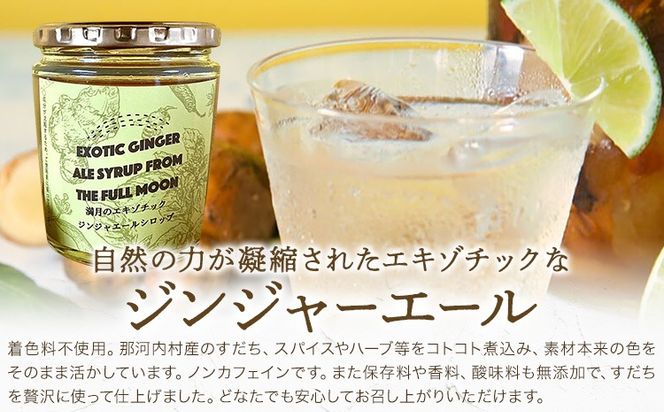 【CF】満月のエキゾチックジンジャエール 320ml×2瓶セット 濃縮タイプ 1瓶約７～8杯分 TABEL株式会社《30日以内に出荷予定(土日祝除く)》 │ ジンジャーエール 炭酸割り ジンジャー シロップ ドリンク ソフトドリンク 飲み物 飲料 お取り寄せ 徳島県 佐那河内村---sanagouchi_tbl_3_2hn---以内に出荷予定(土日