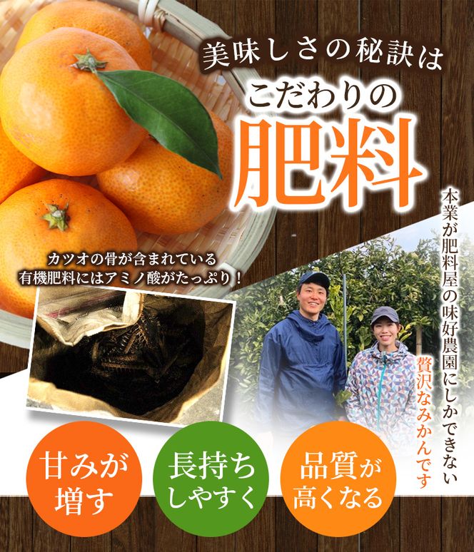 ボリューム満点！ 秀優品 大玉 温州みかん 4kg【2L～3Lサイズ】【2026年12月から2027年3月下旬頃に順次発送】＜味好農園＞/ 温州 蜜柑 みかん 柑橘 果物 フルーツ ミカン 甘い 美味しい【agy004-l-4A】