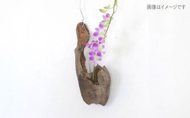 Driftwood FlowerBase 流木一輪挿し フラワーベース 糸島市 / WOOD'ARBRE(ウッドラヴル)【TIME】 インテリア 雑貨[ADC003] インテリア 雑貨 一輪挿し 流木 お洒落 木 おしゃれ オシャレ シンプル 壁掛