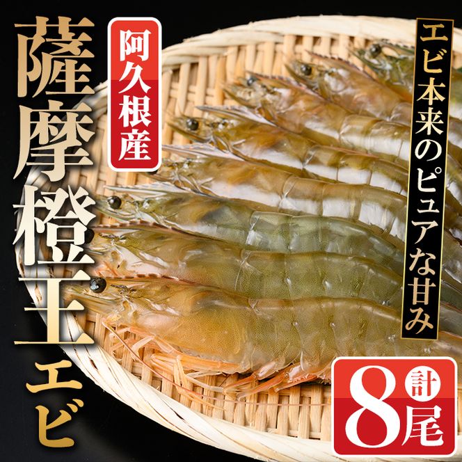 薩摩橙王エビ(4尾入×2パック) 国産 鹿児島県産 阿久根市産 えび 海老 魚貝類 魚介類 海産物 養殖 冷凍 期間限定 数量限定 焼き海老 焼きエビ バナメイエビ シロアシエビ 生食可 【リージョナルフィッシュ株式会社】akn105-01