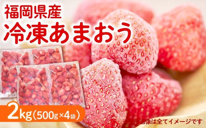 冷凍 あまおう苺 2kg （約500g×4袋） 《築上町》【南国フルーツ株式会社】 果物 苺 いちご あまおう[ABET002]