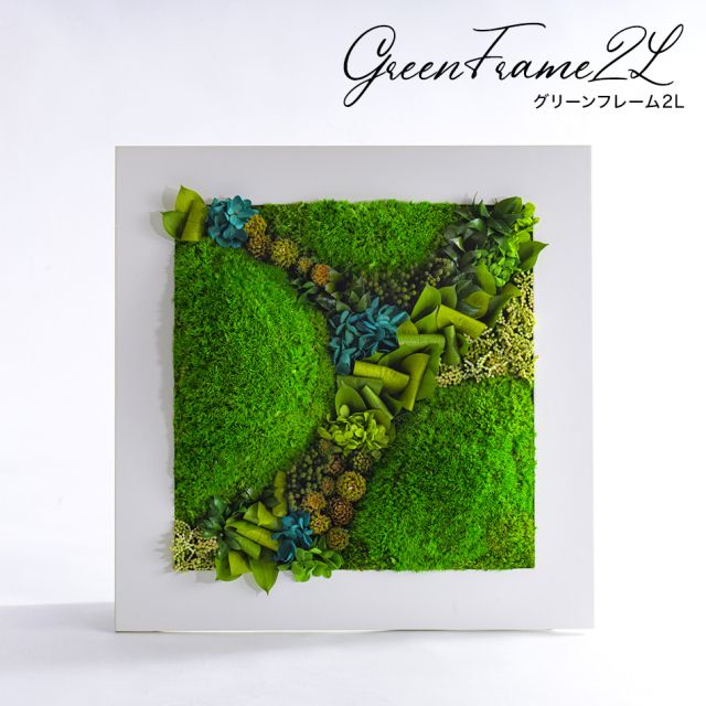 グリーンフレーム２L 花 お花 プリザーブドフラワー ギフト プレゼント お祝い 誕生日 お供え アレンジ インテリア 東京都 墨田区
