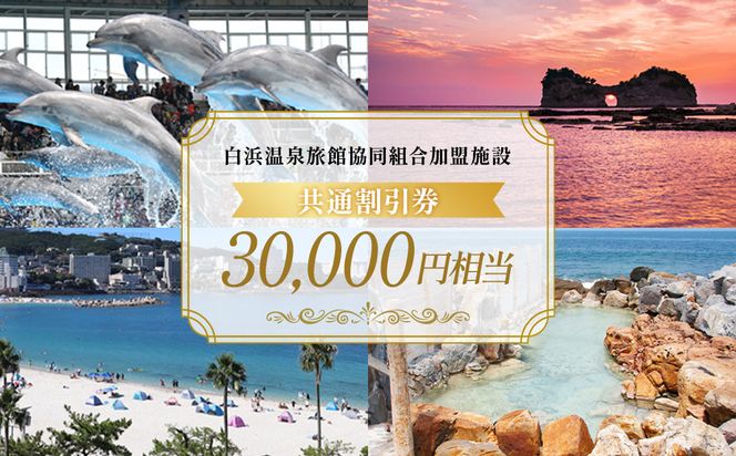 白浜温泉旅館協同組合加盟施設 共通宿泊割引券 30000円相当 304018_DM005