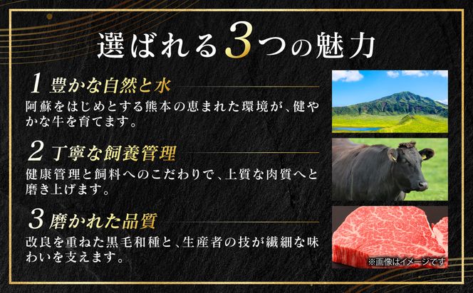 【A4～A5ランク】 くまもと黒毛和牛 切り落とし 500g （500g×1パック） 和牛 牛肉 お肉 黒毛和牛 冷凍 すき焼き 牛丼 おかず ギフト 熊本県 八代市