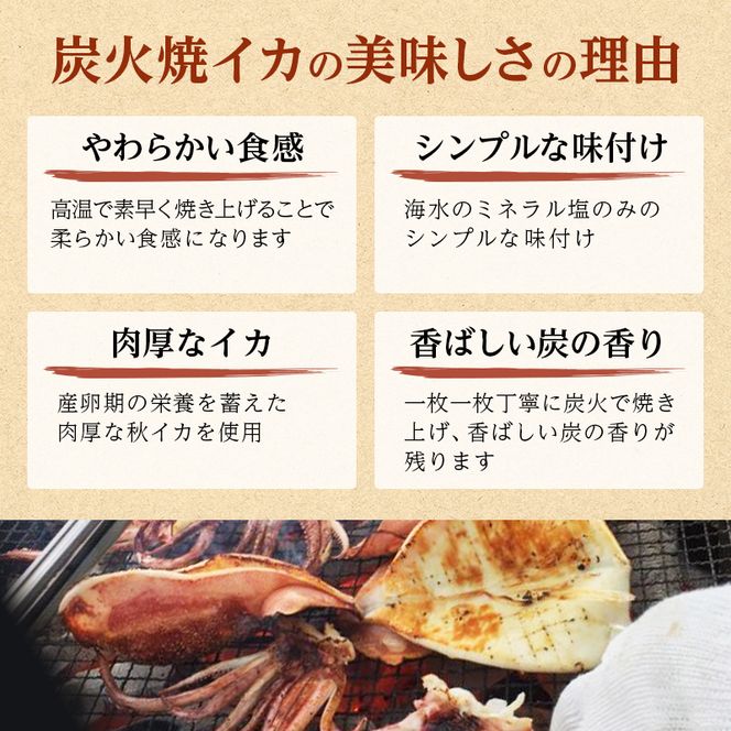 イカ 炭火焼きイカ 5パック セット 青森 いか 干物 干物セット するめ スルメ スルメイカ 海鮮 魚介類 魚介 海産物 国産 加工食品 惣菜 青森県 鰺ヶ沢町 ※ご入金確認後 3ヶ月以内の発送になります。 青森県鰺ヶ沢町 