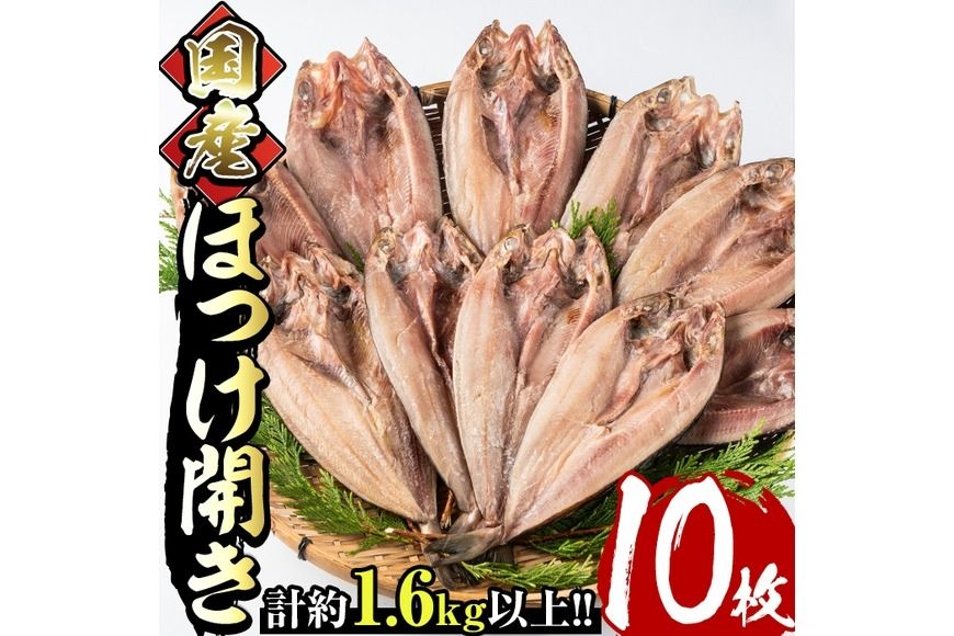 国産ほっけ開き(10枚・計1.6kg以上)干物 セット 魚 魚介類 簡単 調理 冷凍[E-17][水永水産]