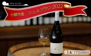 ワイン 2022シェルブラン 白ワイン お酒 酒 アルコール 長野県 小諸市 小諸 ギフト プレゼント 