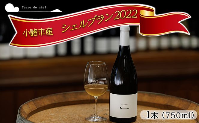 ワイン 2022シェルブラン 白ワイン お酒 酒 アルコール 長野県 小諸市 小諸 ギフト プレゼント 