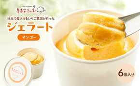 ジェラート マンゴー 6個 アイス アイスクリーム スイーツ お菓子 菓子 おやつ 兵庫県 加西市