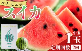 スイカ 定期便【２回定期便】ルナ・ピエナスイカ(中玉) 1玉 Wyu-0035