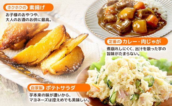 先行予約/2026年秋発送 北海道 十勝 幕別産 じゃがいも メークイン 約5kg 【横山農園】 野菜 根菜 食材 しっとり 崩れにくい 煮込み料理 炒め物 肉じゃが カレー シチュー 北海道のジャガイモ