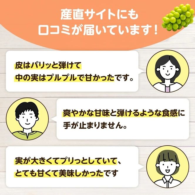 【2026年先行予約】 小さなぶどう園の シャインマスカット お試し1房 500g以上 ご家庭用 ここちとふぁーむ 岡山県 真庭市 ぶどう 【koko014-01】