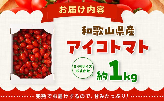 ［2026年5月出荷分］和歌山産ミニトマト「アイコトマト」約1kg（S・Mサイズおまかせ）［TM232］ 303446_XH92279VC05