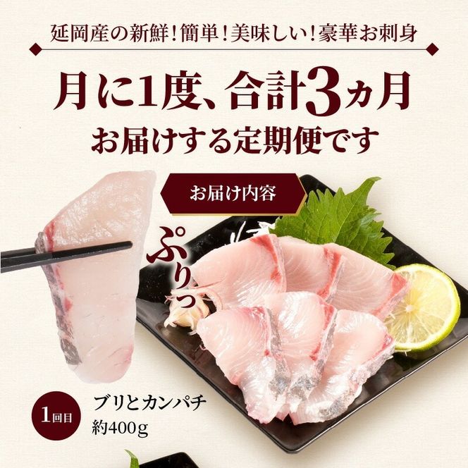 人気のお刺身3ヶ月定期便 少量2種ずつお届け N019-YC911