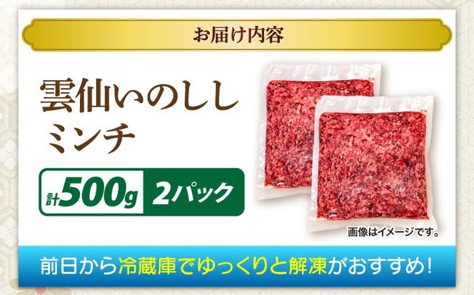 猪肉 ミンチ 500g×2パック 雲仙いのしし / ひき肉 肉 イノシシ ジビエ いのしし ハンバーグ / 南島原市 / もりのめぐみ[SDB012]