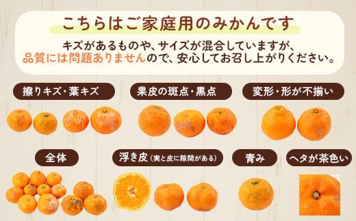家庭用 完熟 有田みかん1kg+250g（傷み補償分）サイズ混合