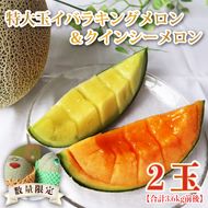 【2026年5月より順次発送】特大玉イバラキングメロン＆クインシーメロン（各1玉／計2玉）｜メロン クインシーメロン イバラキングメロン フルーツ 果物 くだもの 特大 先行予約 茨城県 行方市(BW-16-1)