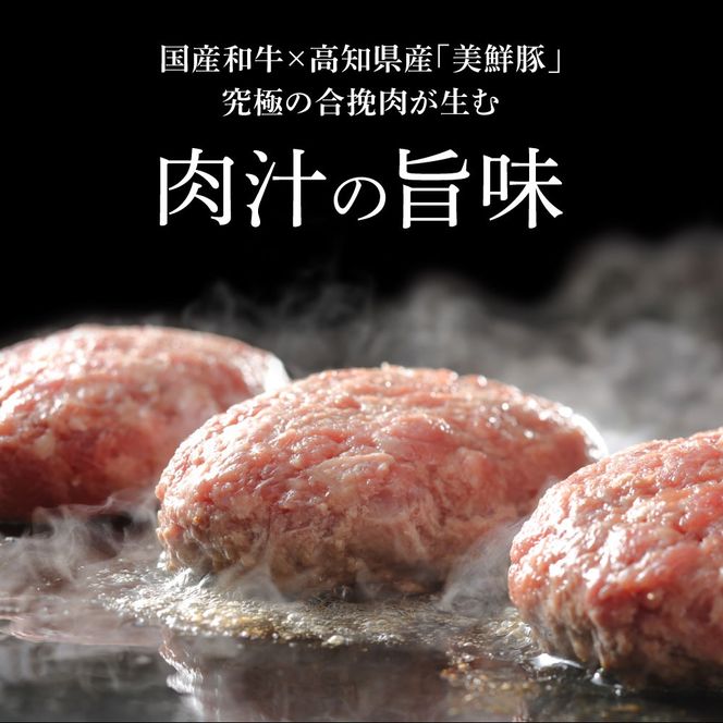 塩仕込みハンバーグ 4個入り 黄金しょうがソース付 2袋 美鮮豚 びせんとん 生姜 田野屋青蜂 白鯆 完全天日塩 肉 お肉 国産牛 四万十ポーク おかず 惣菜 ジューシー おいしい 洋食 お取り寄せ 冷凍 配送 高知県 田野町