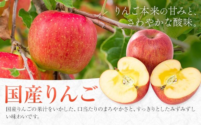 りんごジュース 果汁100% ジュース 30缶 190g/1缶 南海果工株式会社《3月中旬～出荷予定(土日祝除く)》和歌山県 日高川町 ジュース 林檎 リンゴ りんご 送料無料---wshg_nkka10_bc32_23_17000_30---