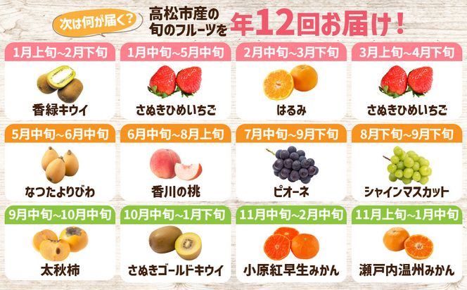 【12回毎月お届け】高松市自慢のフルーツ定期便【L】 372013_T006-776J