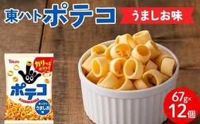 【指にはめて楽しく食べられる】東ハト ポテコ うましお味 21g×28個 スナック菓子 じゃがいも レギュラーサイズ 子供  こども おやつ お菓子  FAA-206
