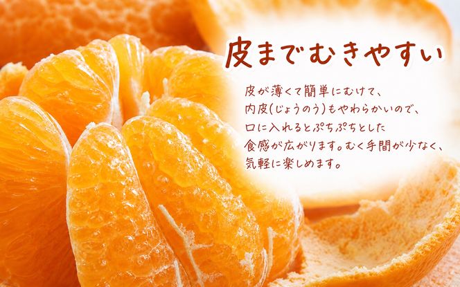 果肉ぷりぷり!完熟はるみ5kg　※2027年1月下旬頃〜2027年2月上旬頃に順次発送予定(お届け日指定不可) 【uot732A】