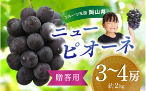 【2026年先行予約】ぶどう 岡山 花笑み農園『ニューピオーネ』約2kg（3～4房） 贈答用 岡山 真庭 ピオーネ 高級 2kg 贈答 2026真庭市 大粒 葡萄 果物 フルーツ 濃厚ピオーネ 人気 数量限定 2026年9月上旬～ 受付順に発送予定 【hana006-03】