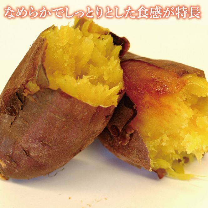 【2027年2月より発送】【訳あり】行方かんしょ「紅まさり」さつまいも約10kg（洗い・不揃い・C品）｜さつまいも サツマイモ さつま芋 お芋 紅まさり 訳あり わけあり 訳アリ 行方かんしょ 先行予約 茨城県 行方市(AE-111)