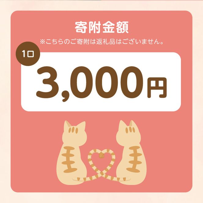 人と猫が互いに幸せになれるまちを目指して『不妊去勢手術支援プロジェクト』（返礼品はありません） N0159-9999995