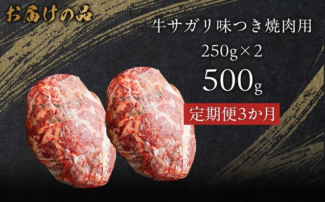 【3か月定期便】牛サガリ味つき焼肉用 500g (250g×2)  MROBM025