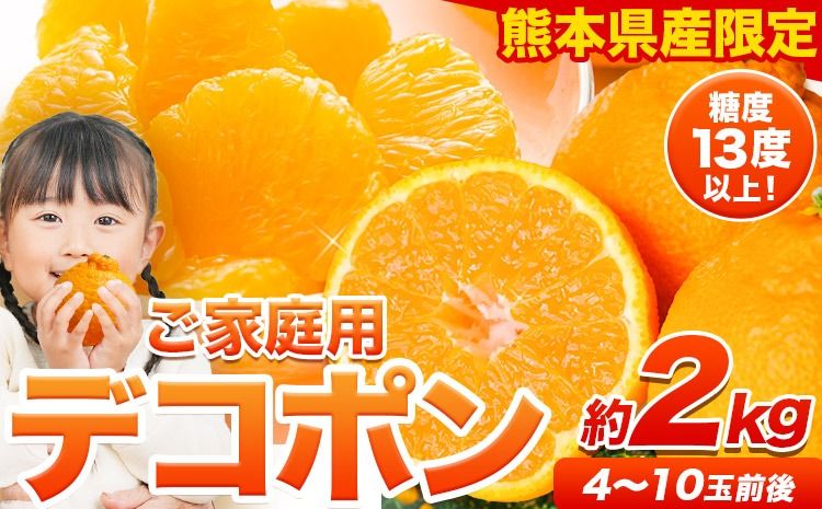 先行予約 訳あり デコポン 約2kg 前後 (約4-10玉前後)[2027年2月上旬-4月上旬頃出荷] デコポン みかん 不知火 ご家庭用 訳ありデコポン 訳アリ 熊本県産 熊本県 長洲町 糖度13度以上---ng_deko_2j4j_r8_7500_2kg---