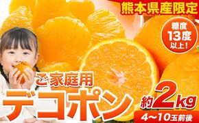 先行予約 訳あり デコポン 約2kg 前後 (約4-10玉前後)《2027年4月上旬-5月上旬頃出荷》 デコポン みかん 不知火 ご家庭用 訳ありデコポン 訳アリ 熊本県産 熊本県 長洲町 糖度13度以上---ng_deko_4j5j_r8_7500_2kg---