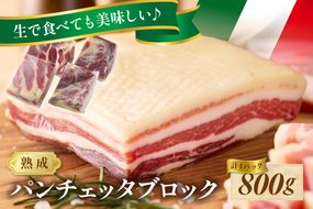 パンチェッタブロック（豚バラ肉の塩漬け）　約200g×4袋 ふるさと納税 豚肉 塩漬け ふるさと納税 ベーコン ふるさと納税 パンチェッタ 豚バラ 塩漬け スペイン料理　NI00022