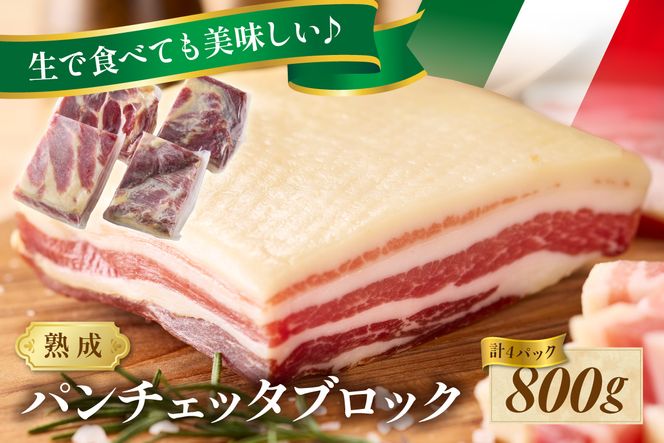 パンチェッタブロック（豚バラ肉の塩漬け）　約200g×4袋 ふるさと納税 豚肉 塩漬け ふるさと納税 ベーコン ふるさと納税 パンチェッタ 豚バラ 塩漬け スペイン料理　NI00022