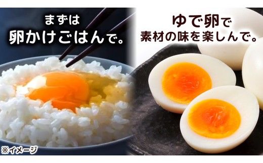 キトサン 健康 たまご 80個入 赤玉 卵 タマゴ 鶏卵 鶏 卵かけごはん ゆで卵 赤たまご 国産 茨城県 玉子 [EE001us]