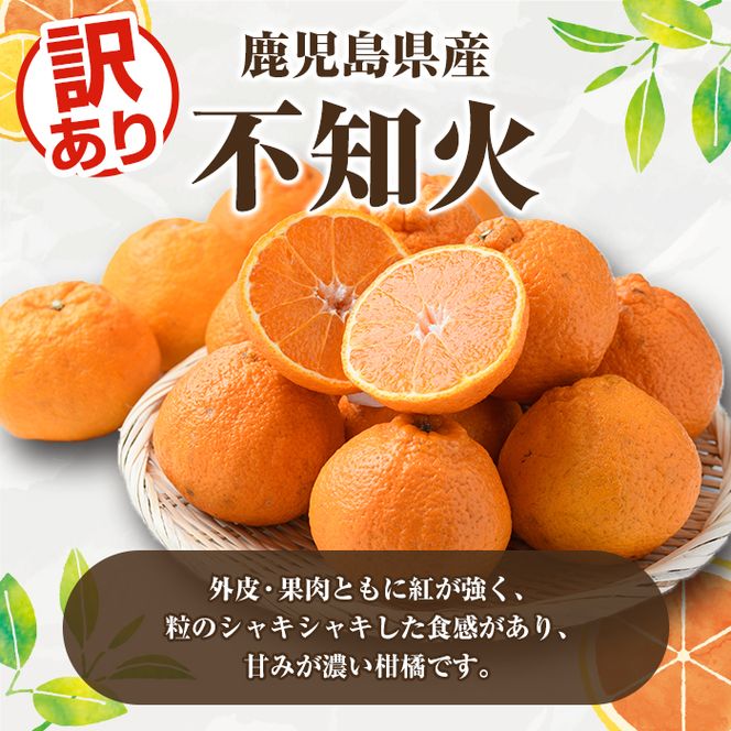 訳あり不知火(約4kg) 国産 鹿児島県産 果物 フルーツ 柑橘 不知火【松永青果】akn053-17