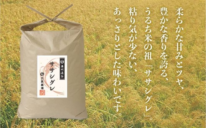 令和6年産 氏家農場の幻のお米 「ササシグレ」 5kg / 米 お米 精米 白米 ご飯 希少 産地直送