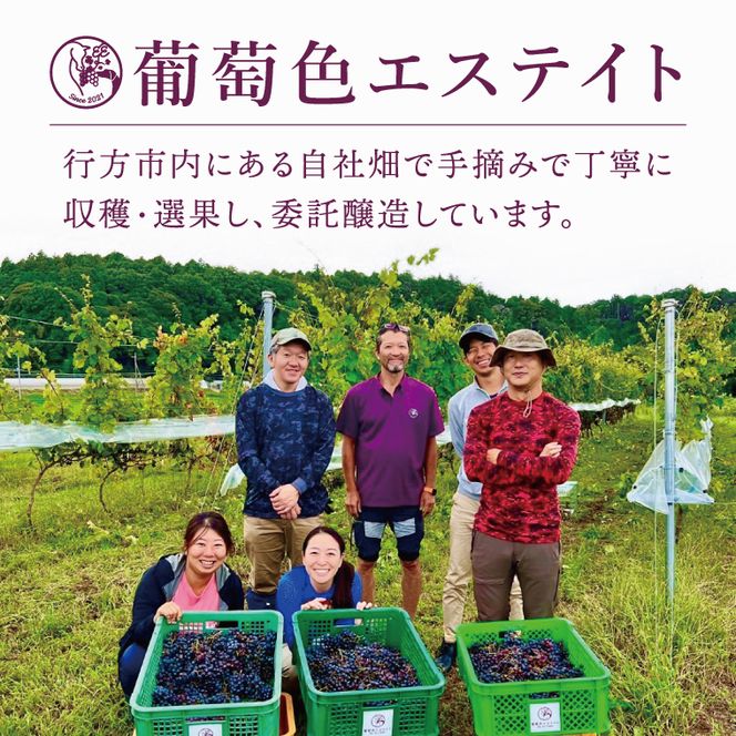 3種の2024ものハーフボトルセット～行方市内の自社畑ぶどう（2024年収穫）で醸造したワイン～｜ワイン  ボトルワイン 酒 お酒 酒類 赤ワイン スパークリングワイン ボトル ぶどう セット ワインセット 茨城県 行方市(GQ-8)