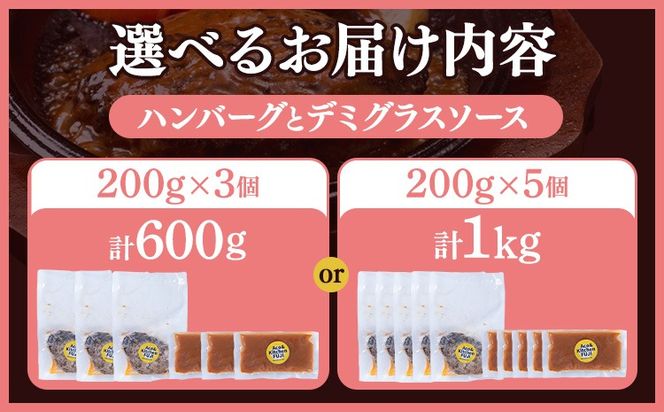 デミグラスソース ハンバーグ 選べる内容量 200g×3 計600g 200g×5 計1kg キッチンふじ 冷凍 《60日以内に出荷予定(土日祝除く)》ジューシー 肉 牛肉 熊本県御船町 惣菜 お弁当 加工食品---sm_fktfhmb_60d_24_15000_600g---