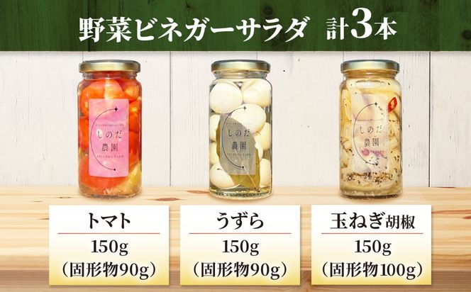 野菜ビネガーサラダ 3本（うずら・トマト・玉ねぎ黒胡椒） ビネガーサラダ 常備菜 おかず 愛西市 / しのだ農園-SHINODA FARM-[AECE012]