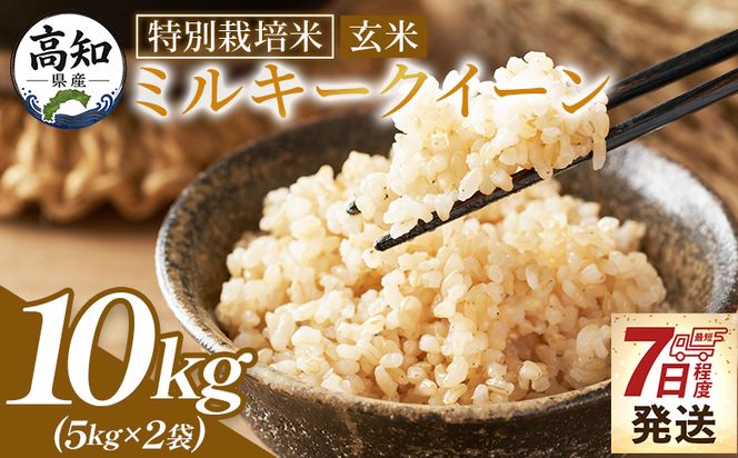 ミルキークイーン 玄米 10ｋｇ 令和８年産 特別栽培米  国産 精米 米 お米 ご飯 ごはん おにぎり おむすび 炊き込みご飯 高知県 香南市 常温 sr-0014