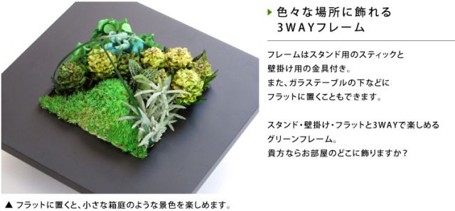花 プリザーブドフラワー グリーンフレーム２L ギフト プレゼント お祝い 誕生日 お供え アレンジ インテリア 東京都 墨田区