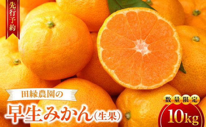 【先行予約】【数量限定】田縁農園の早生みかん（生果）10kg ※離島への配送不可 （2026年11月10日より順次発送） IKTA026