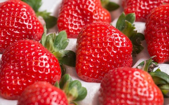 【2025年12月上旬より順次発送】福岡産 あまおう ギフト箱（24-30粒） 《築上町》【南国フルーツ株式会社】果物 苺 いちご[ABET004]