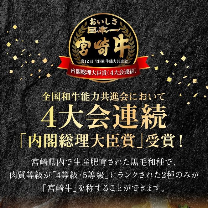 宮崎牛ロースステーキ 250g×2 計500g N0147-YB827