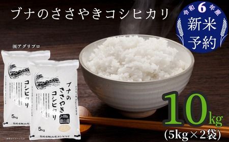 【令和6年産 新米予約】「ブナのささやきコシヒカリ」10kg (6-33)